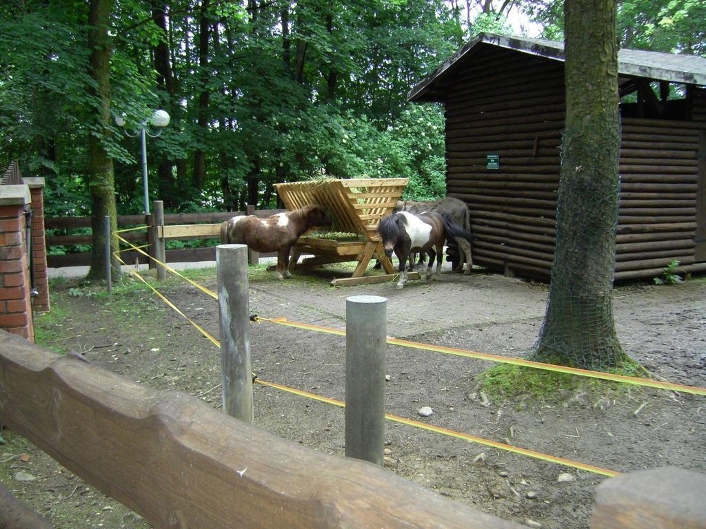 Rothers-Ferienwohnung Annaberg-Buchholz Esterno foto